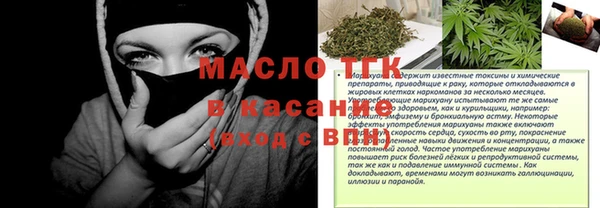 стаф Пересвет