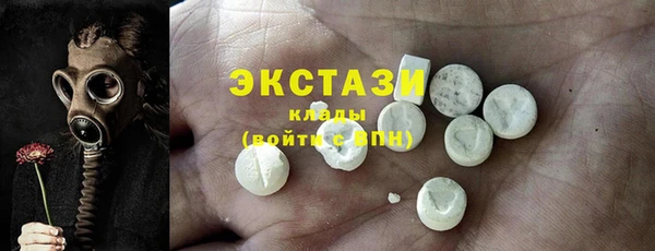 стаф Пересвет