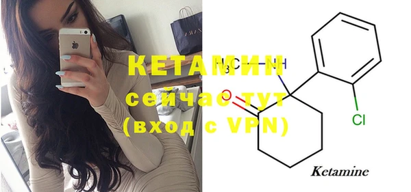 стаф Пересвет