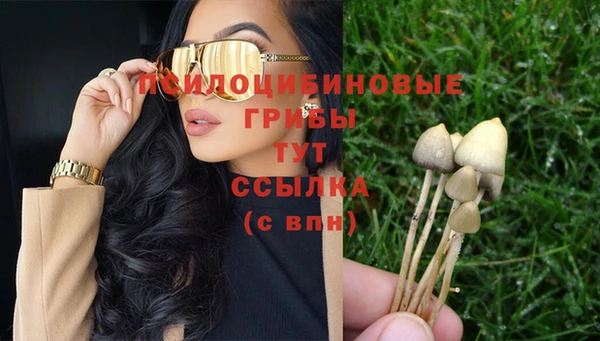 кокс Пестово