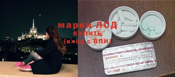 стаф Пересвет